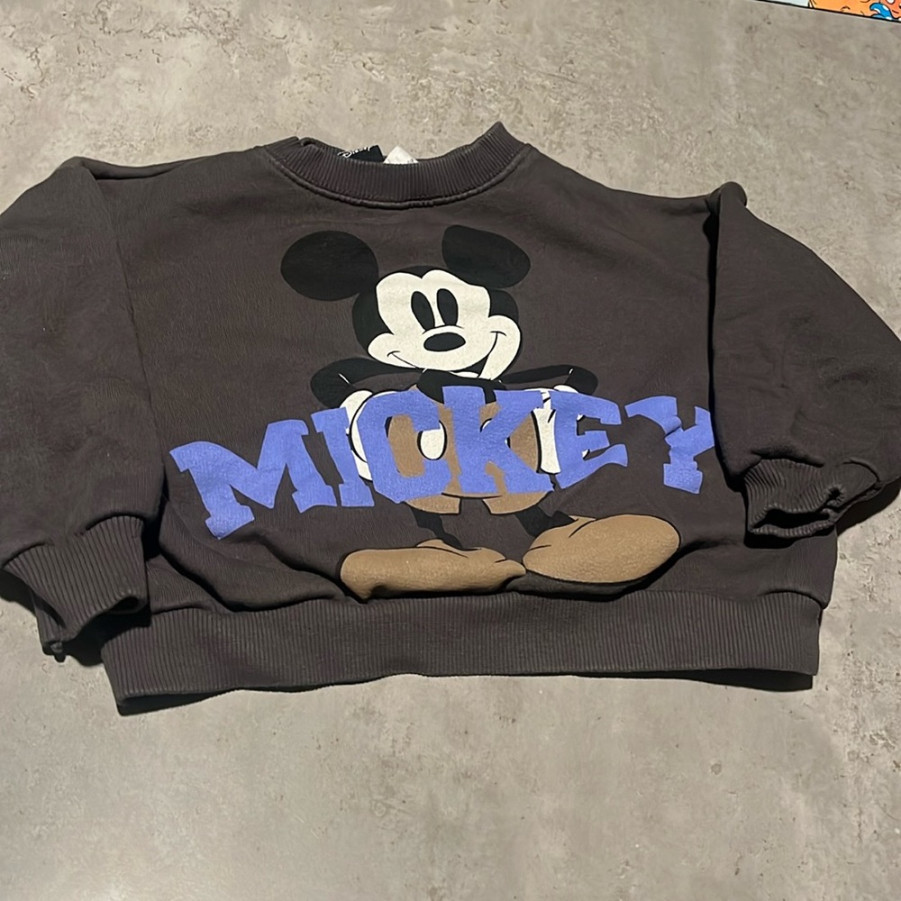 Zara Sweater